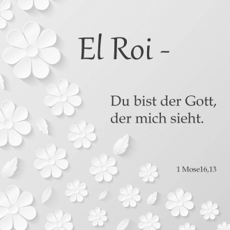 Bild El Roi